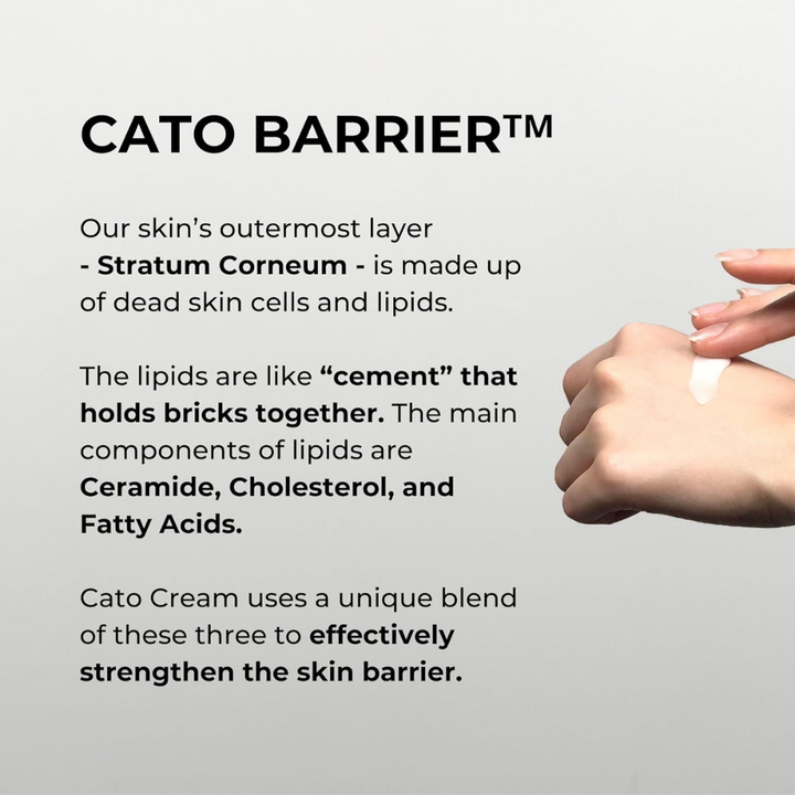P.CALM Cato Cream - Soothing Ceramide and Skin Brightening