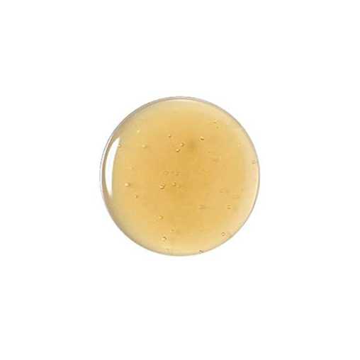 Ryo Shampoo for Dry Scalp - Nourishing & Volumizing Formula