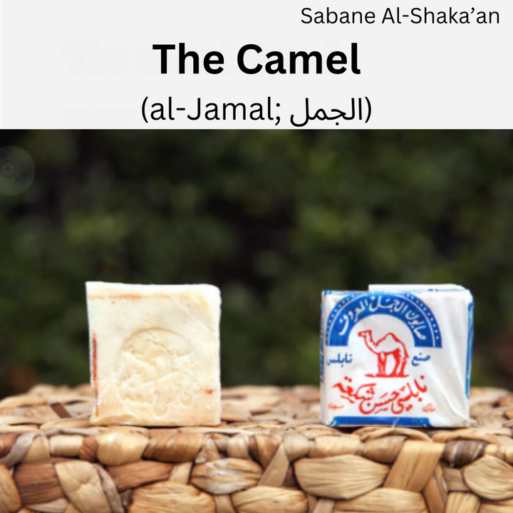 Palestinian Olive Oil Soap – Natural Nablus Soap Bars