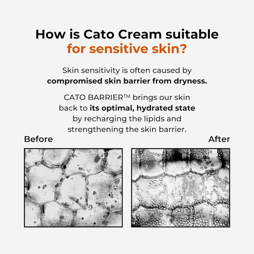 P.CALM Cato Cream - Soothing Ceramide and Skin Brightening