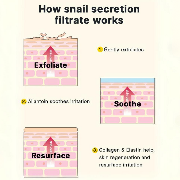 COSRX Snail Cream & Essence Korean skincare set