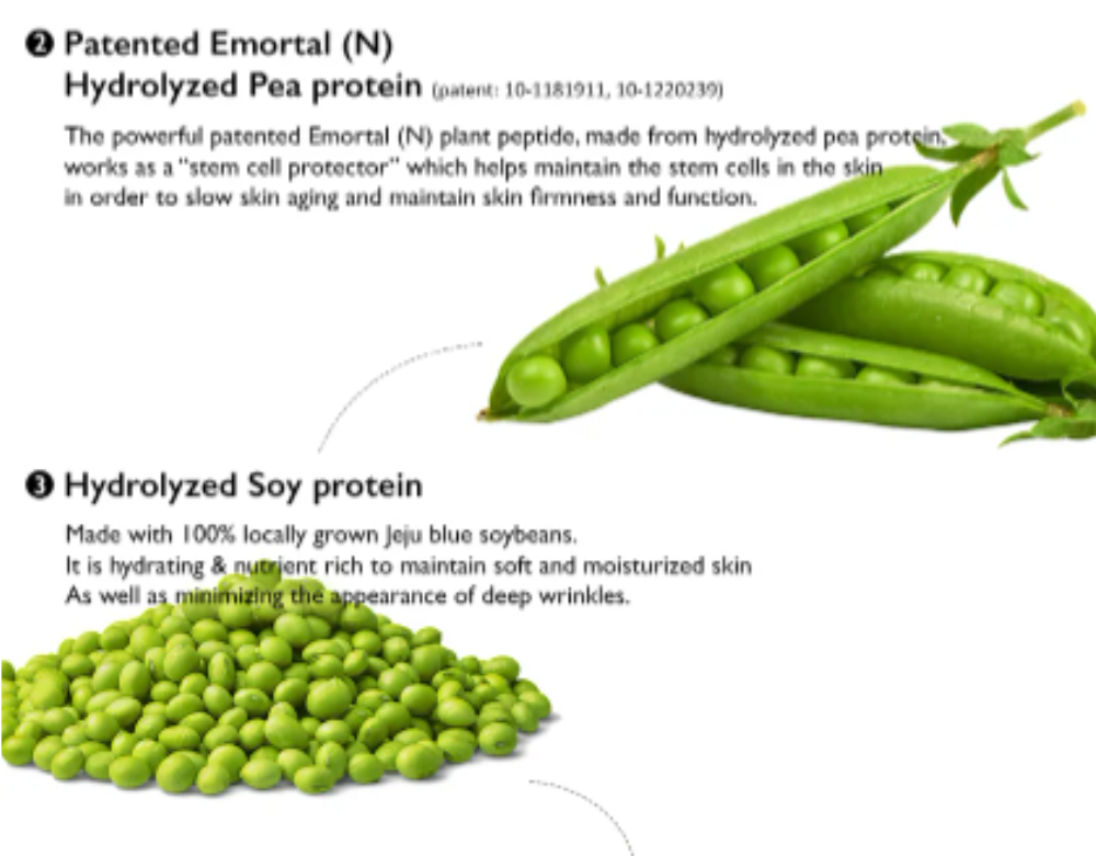 Haruharu WONDER Peptide Vegan Moisturizer for Hydration