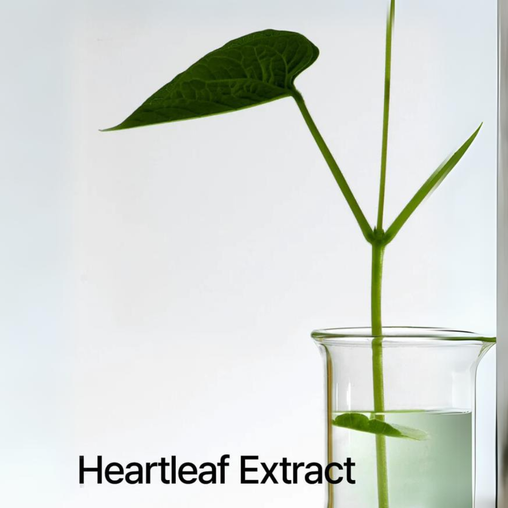 Anua Heartleaf 80% Soothing Ampoule for sensitive skin