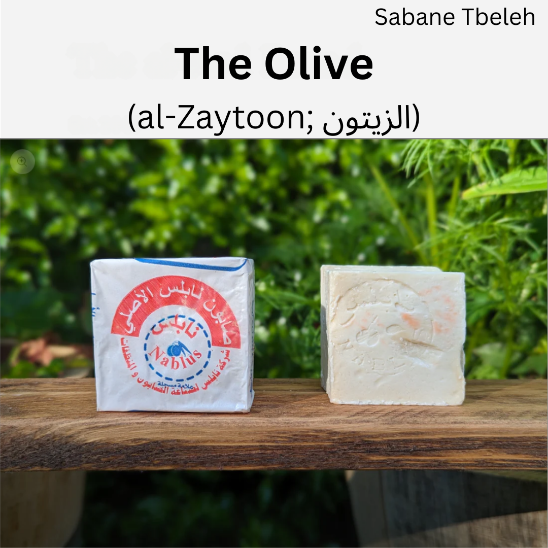 Palestinian Olive Oil Soap – Natural Nablus Soap Bars