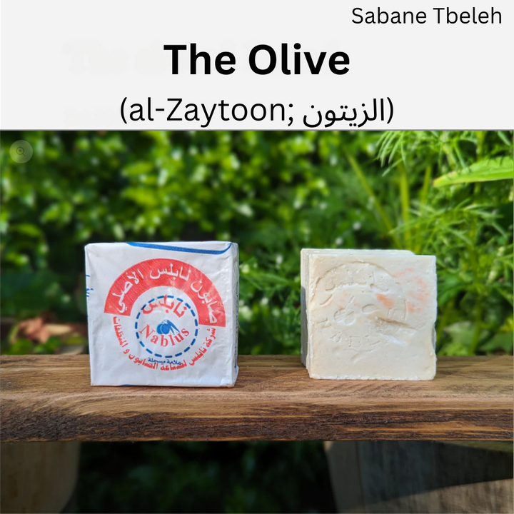 Palestinian Olive Oil Soap – Natural Nablus Soap Bars