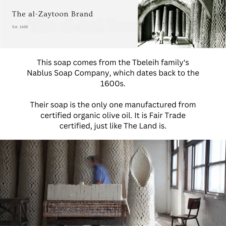 Palestinian Olive Oil Soap – Natural Nablus Soap Bars