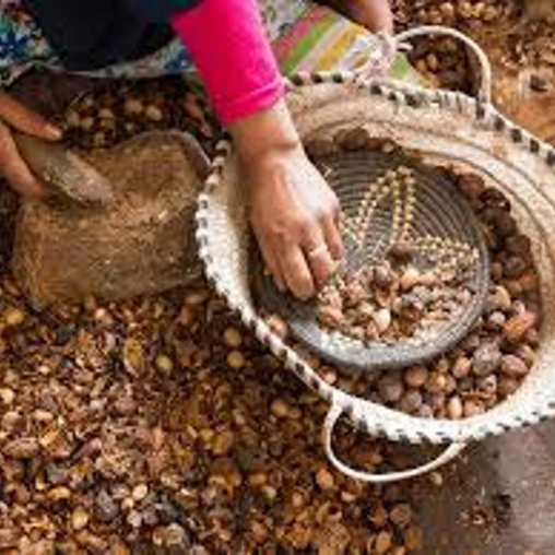 Organic Argan Oil for Hair and Skin – 100% Pure Moroccan Oil