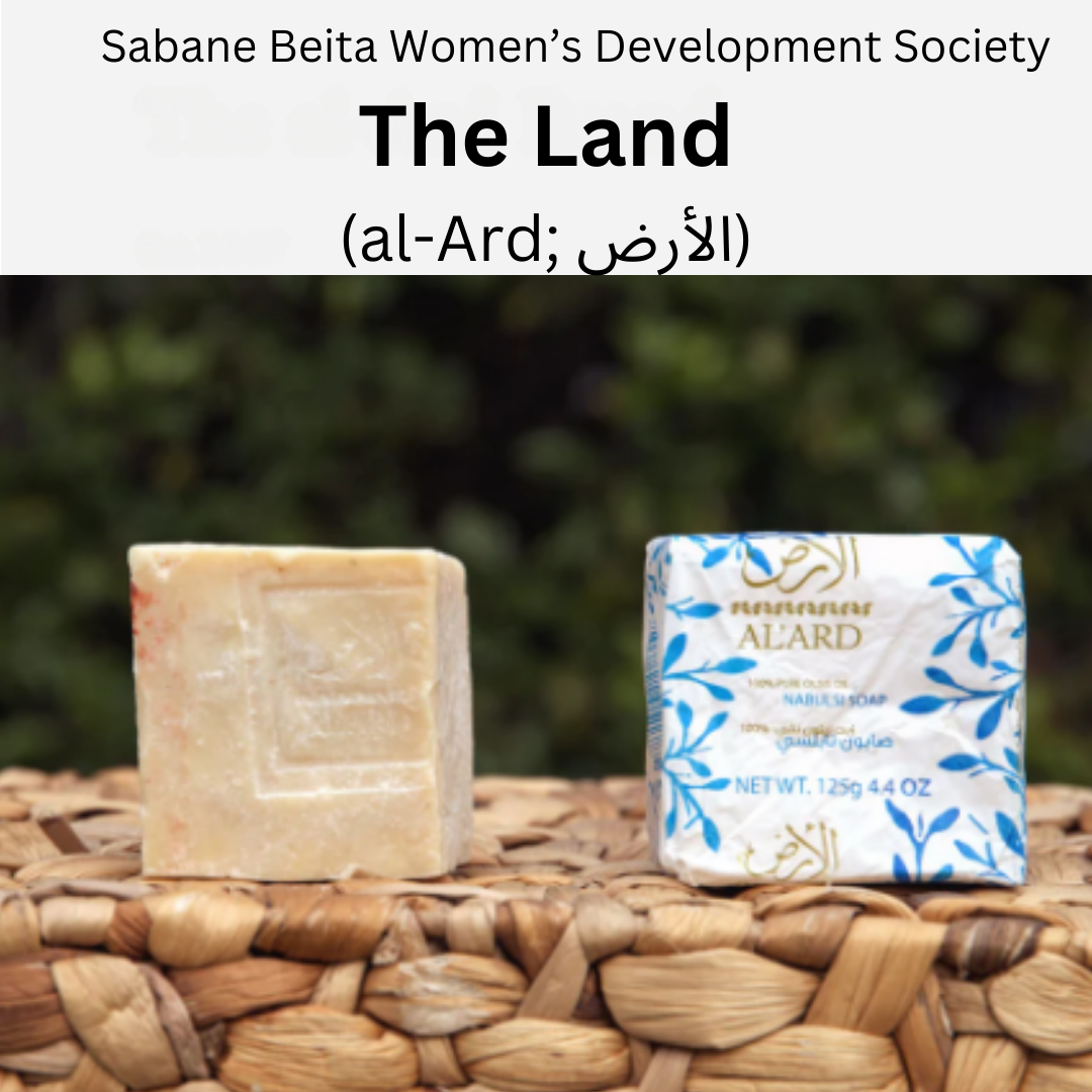 Authentic Palestinian Nablus Soap Box, 4 bars