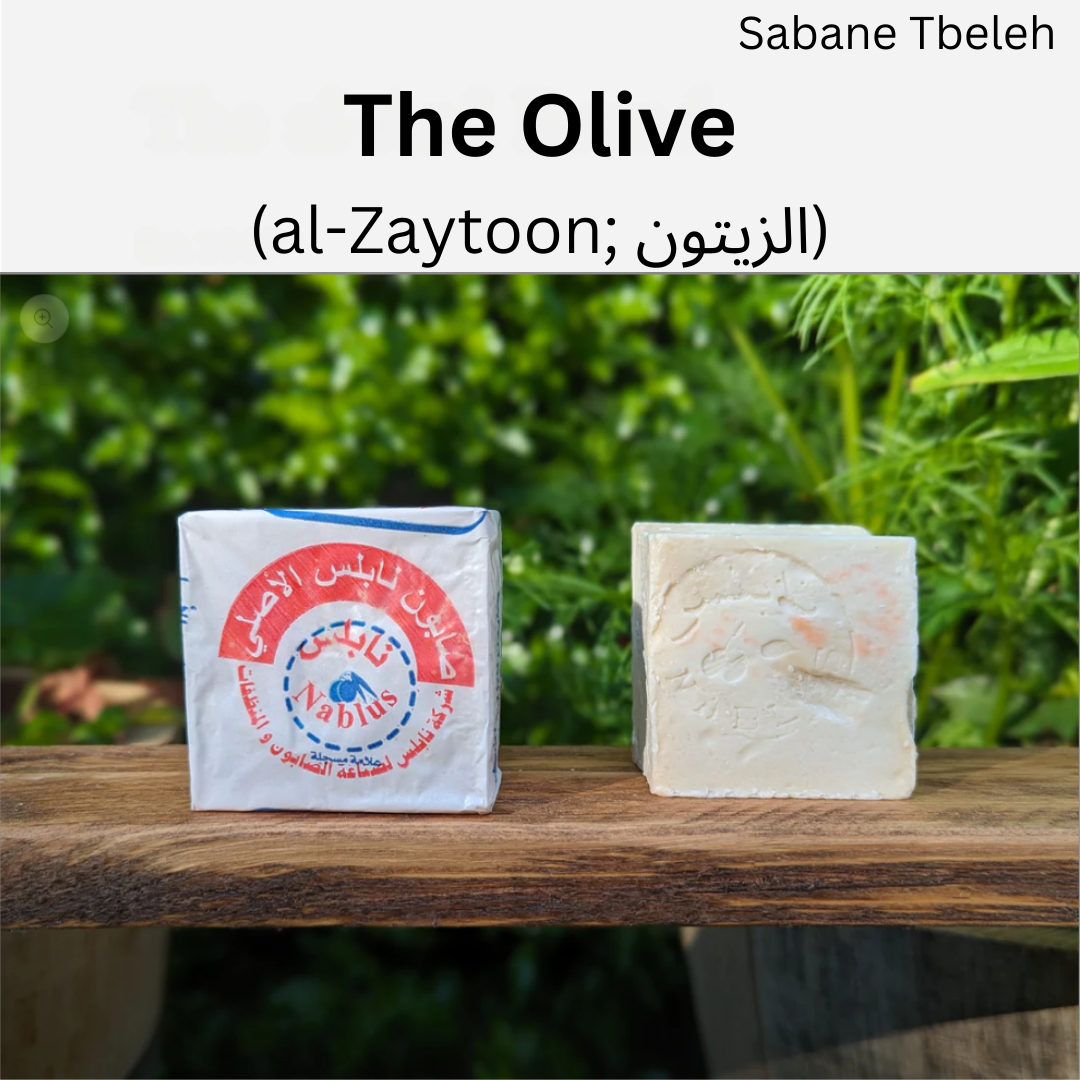 Authentic Palestinian Nablus Soap Box, 4 bars