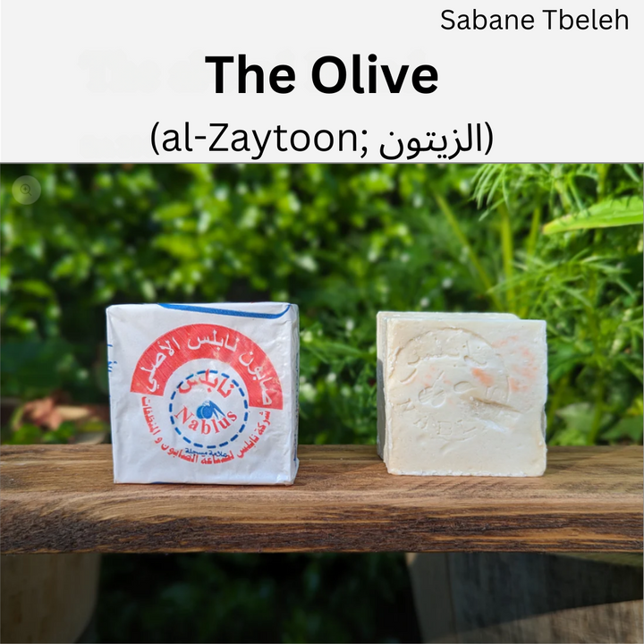 Authentic Palestinian Nablus Soap Box, 4 bars