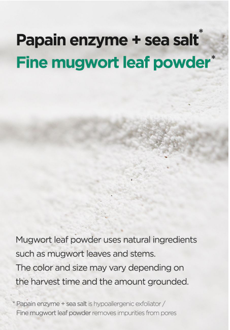 Isntree Mugwort Enzyme Powder Cleanser for exfoliating skin