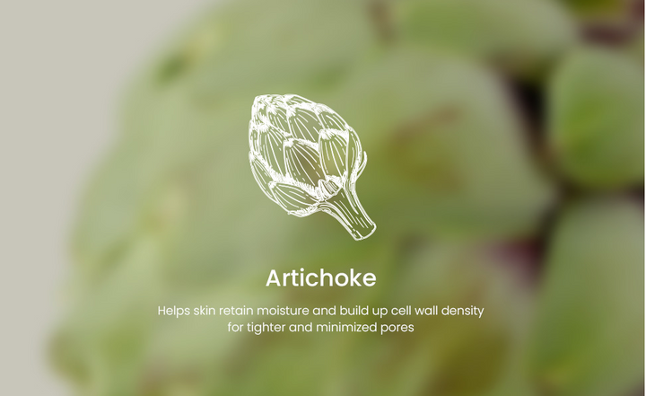 AXIS-Y Artichoke Intensive Skin Barrier Ampoule